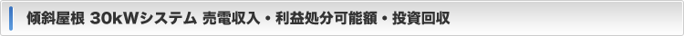 売電収入・利益処分可能額・投資回収